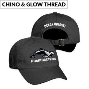 B2724Y Bone Structure Cap - C3