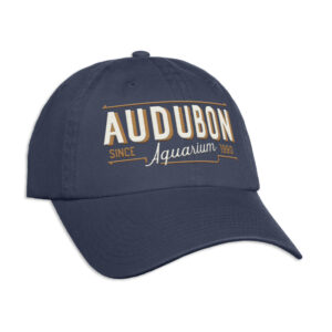 B3383B Spirit Label Cap - C2