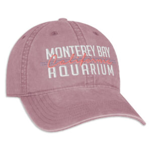 B3638L Trendsetting Ladies Cap - C1