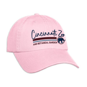 B3641L Forward Advance Ladies Cap - C1