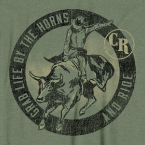 C16099 Rodeo Bull - S2