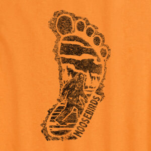 C17784 Footpath - S1