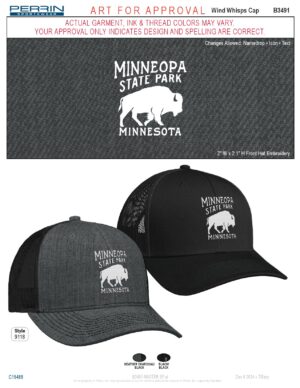 B3491 Wnid Whisps Cap